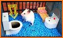 Hamster Maze related image