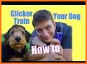 Dog - training and clicker related image