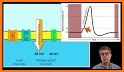 Action Potentials related image