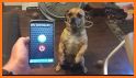 Stop Loud Dog Barking: Anti Dog Sounds App related image