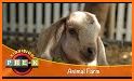 Learn about farm animals related image