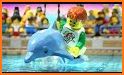 Dolphin Show related image