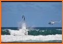 Jet Ski Stunts : Water Surfing Sports related image