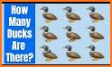 Baby Duck Puzzle - Download Free Baby Duck Puzzle related image