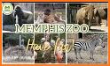 The Memphis Zoo related image