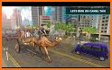 Camel Simulator Taxi Game related image