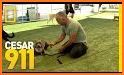 Cesar Millan - Cesar's Way related image