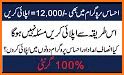 Ehsaas PM Imdad Program related image