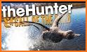 Duck Hunter Game - Pro related image