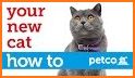 Cat Care related image