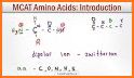 Amino Acid Quiz related image