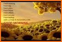 Good morning images wishes and greetings related image