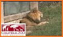 SmartZooMap - Columbus Zoo related image