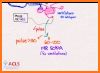 ACLS Mastery related image