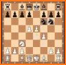 Chess Opening Master Pro related image