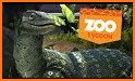 Idle Zoo Tycoon 3D - Animal Park Game related image