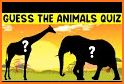 Animals Questions related image