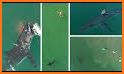 DroneShark related image