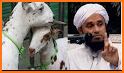 Eid Ul Adha - Qurbani Ke Fazail & Masail Bakra Eid related image