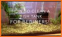 Aquarium Cleaning related image