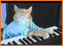 Magic Cat Piano Tiles - Pet Pianist Tap Animal Jam related image