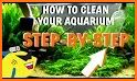 Aquarium Cleaning related image