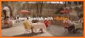 Babbel – Learn Spanish related image