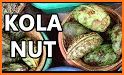 kola nut VXM09 related image