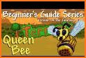 Queen Bee Master related image