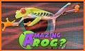 Amazing Super Frog - Walkthrough Simulator Game! related image