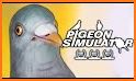 Thug Life Pigeon Simulator - Birds Simulator 2020 related image