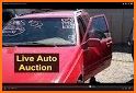 Public Auto Auctions related image