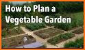 Vegetable, Fruit, & Herb Garden Planning Guides related image