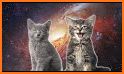 Cute kittens in space related image