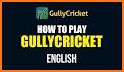 GullyCricket - Fantasy Cricket for the US related image