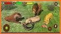 Angry Lion Family Simulator: Animal Adventure Game related image