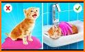 Crazy Kitty Cat Salon & Kitty Daily Activity Game related image