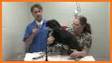 County Animal Hospital MO related image