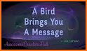 Bird Message related image