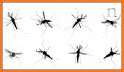 Mosquito Fly related image