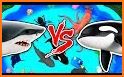 Shark Battle related image