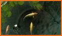 KOI Fish Live Wallpaper : New fish Wallpaper 2020 related image