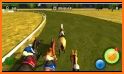 Horse Racing Rider Derby Quest Horse Games related image