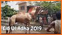 Eid Qurbani Photo Frame HD 2021 related image