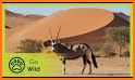 Wild Desert related image