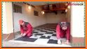 Mop The Floor Tiles Puzzle - House Cleaning Game related image