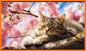 Sleeping Cute Kitten Keyboard Background related image