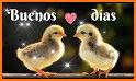 Stickers con Frases para Enamorar - WAStickerApps related image