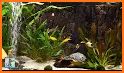 Goldfish 3D - Relaxing Aquarium Fish Tank related image