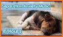 Relax Music for Dogs related image